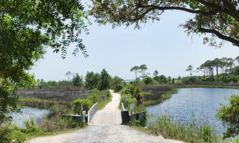 Camp Helen State Park, Florida, USA